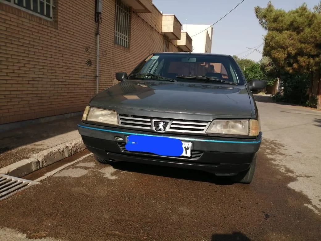 پژو  405 2