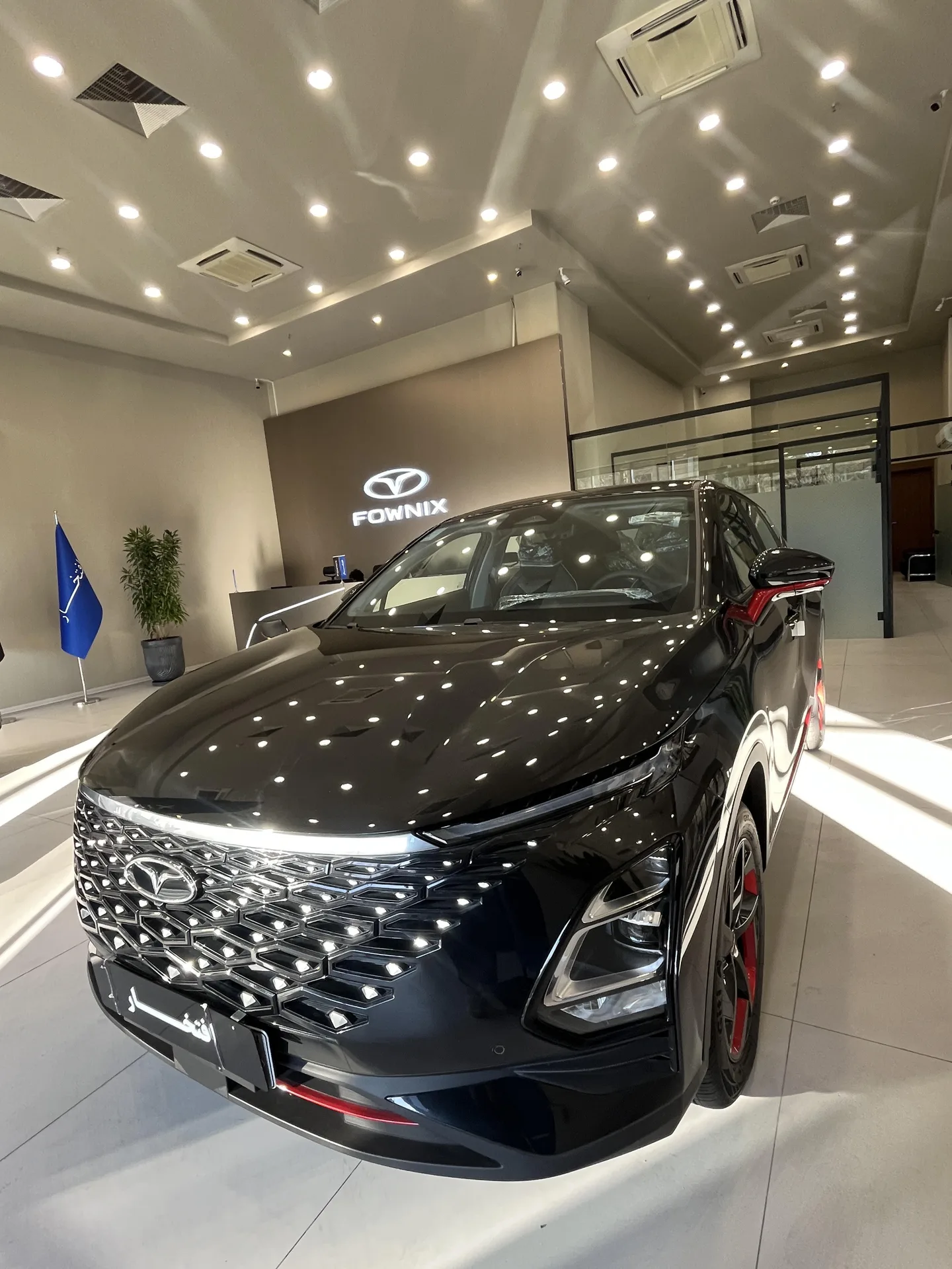 فونیکس  FX 5