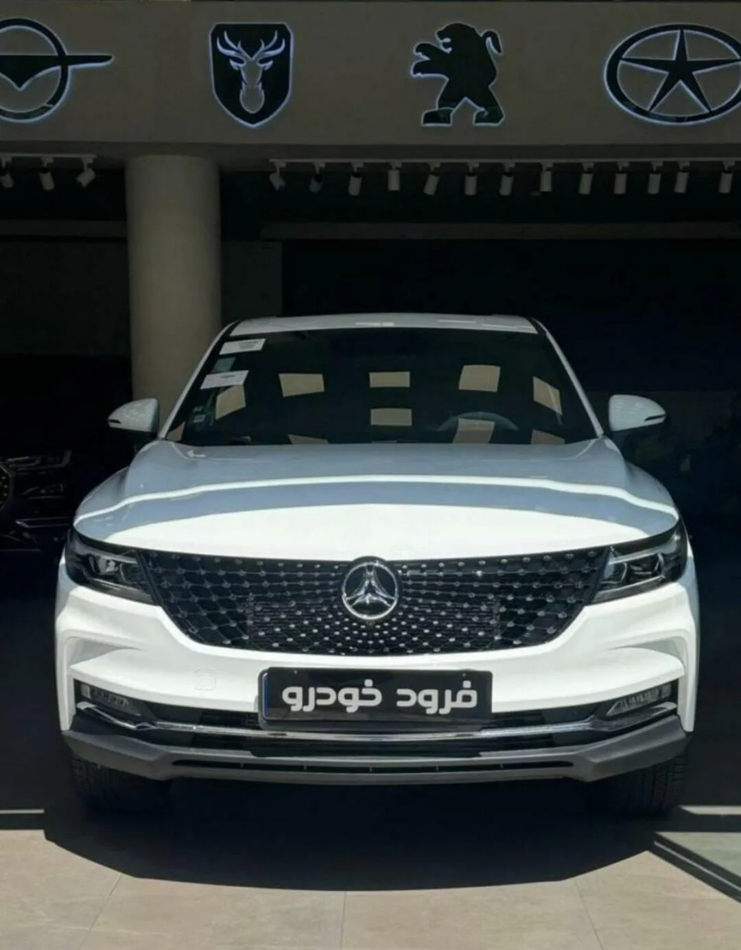 دیگنیتی پرستیژ