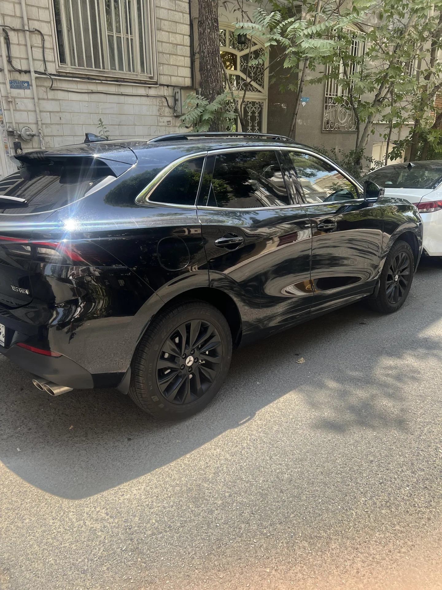 لاماری  ایما 2