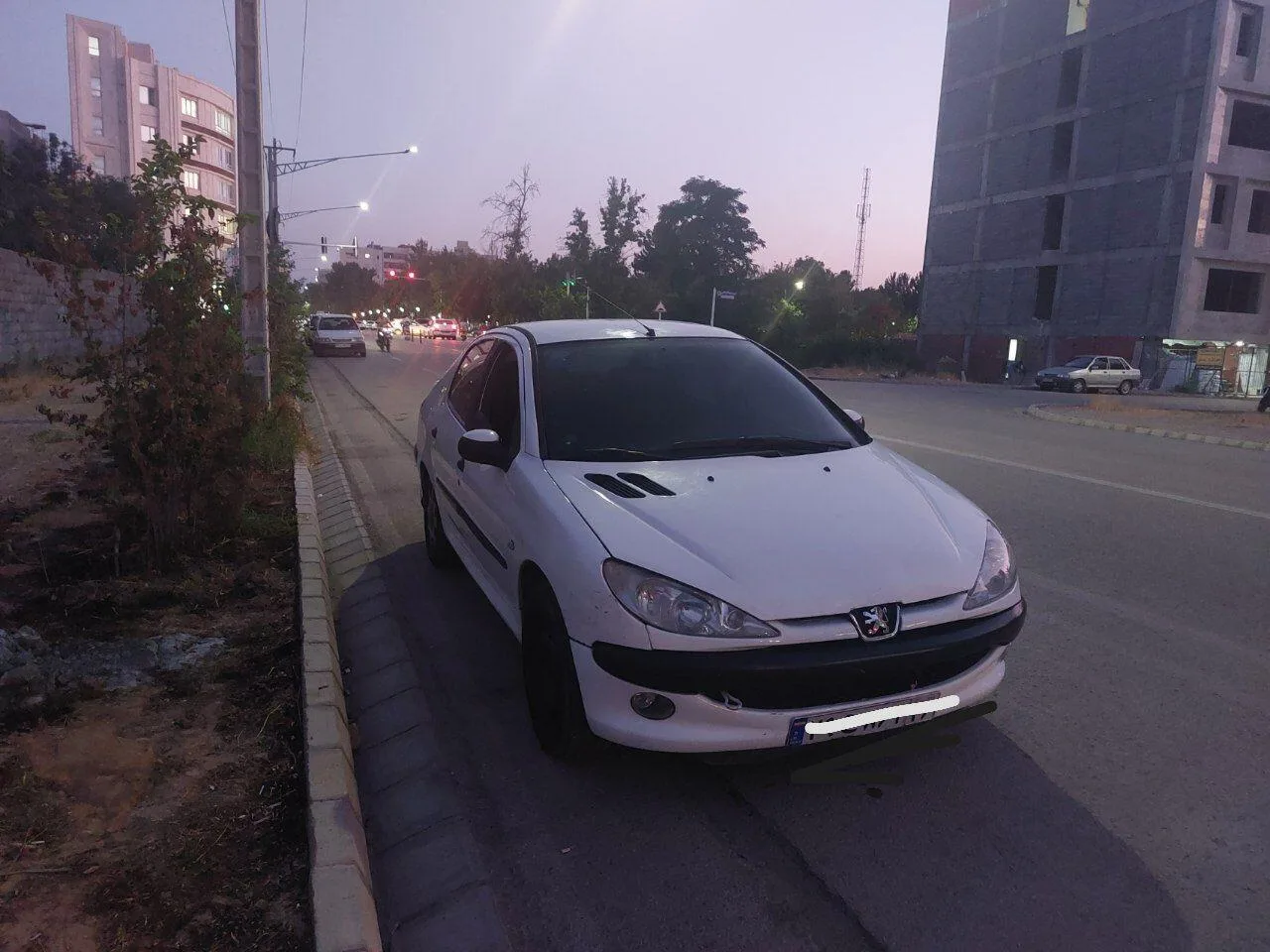 پژو  206 SD 4