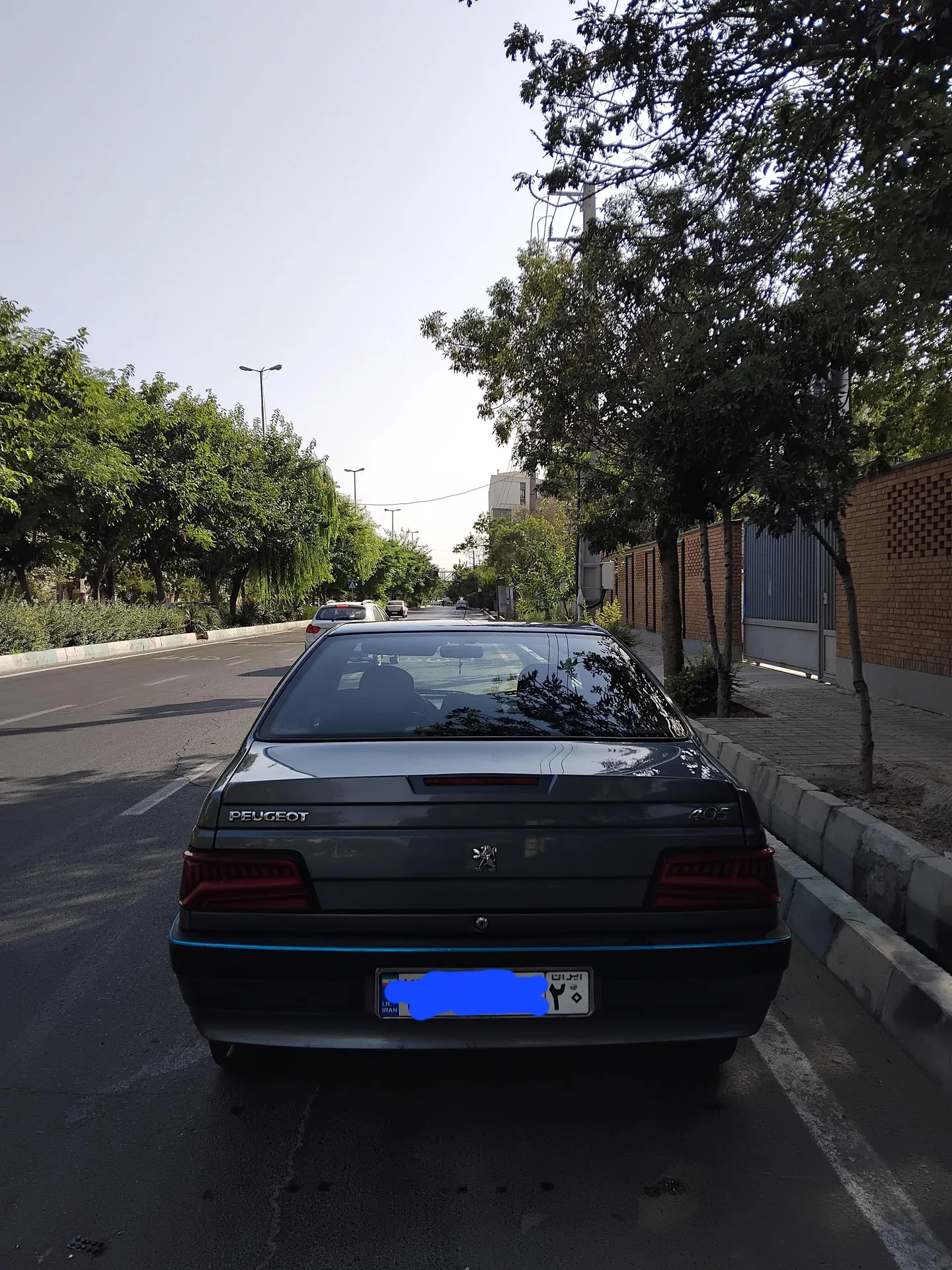 پژو 405
