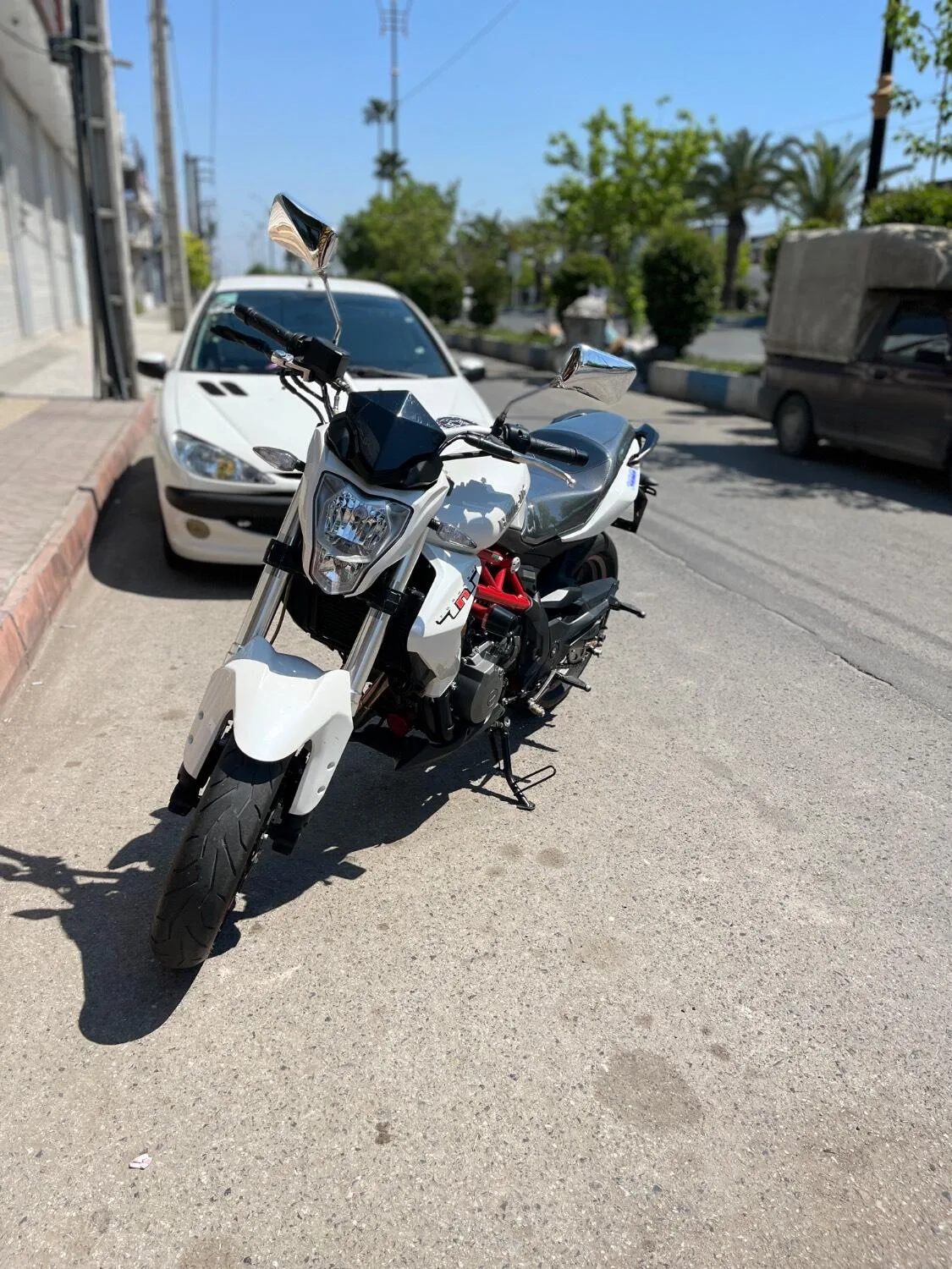 بنلی TNT 300